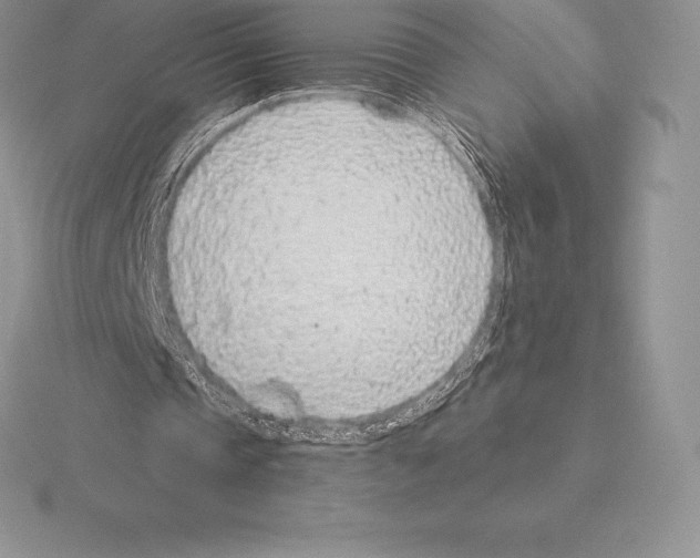 X0000115160337200912081413