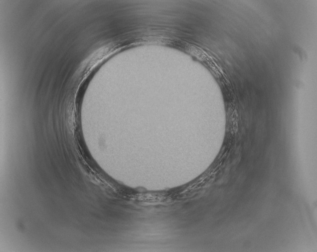 X0000115160338200912081413