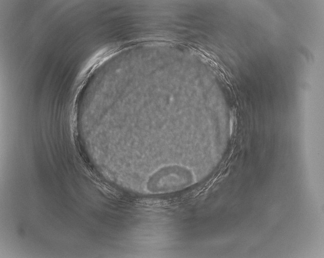 X0000115160339200912081413