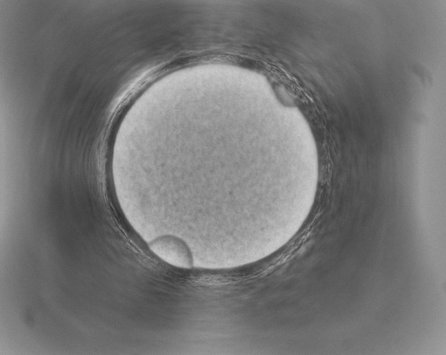 X0000115160341200912081413