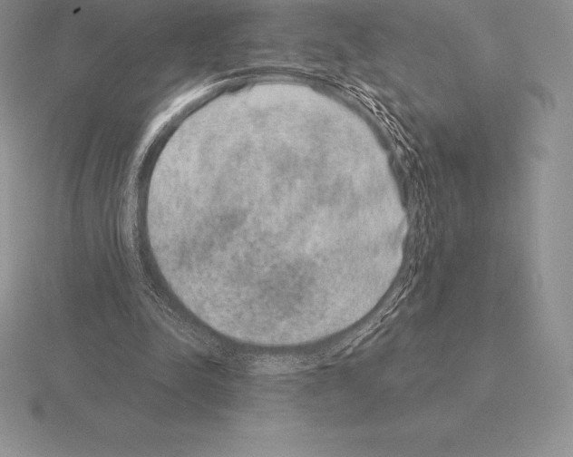 X0000115160342200912081413