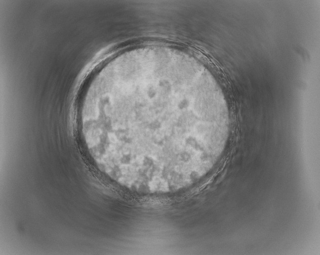 X0000115160343200912081413