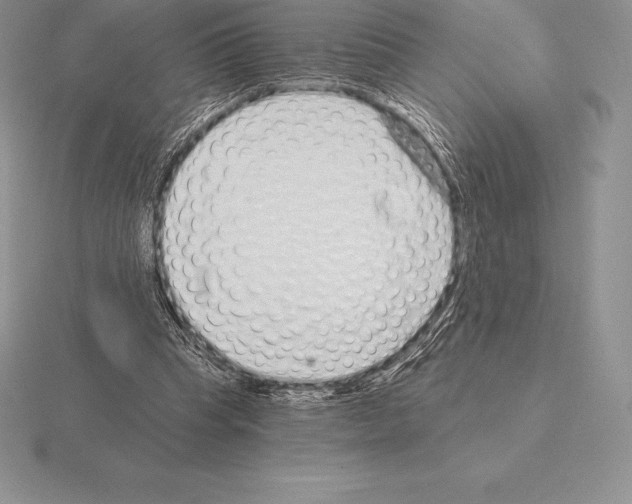 X0000115160345200912081413