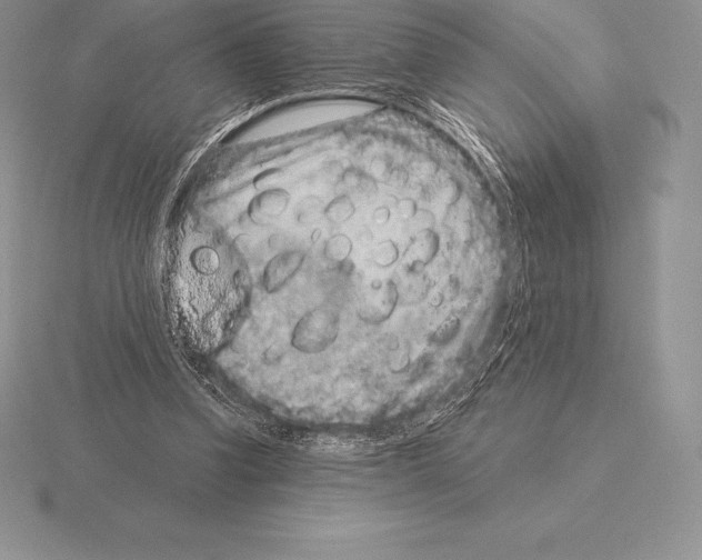 X0000115160346200912081413