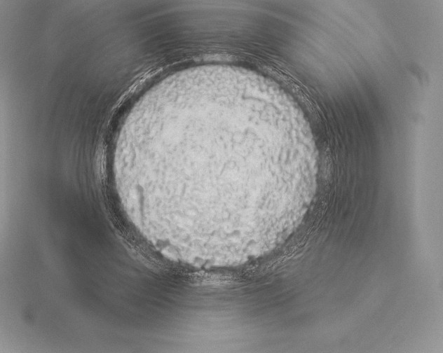 X0000115160347200912081413