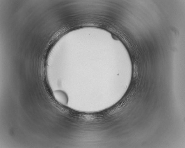 X0000115160349200912081413