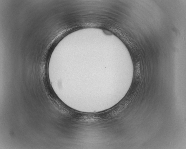 X0000115160351200912081413