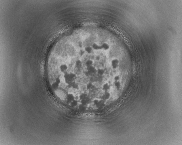 X0000115160353200912081413