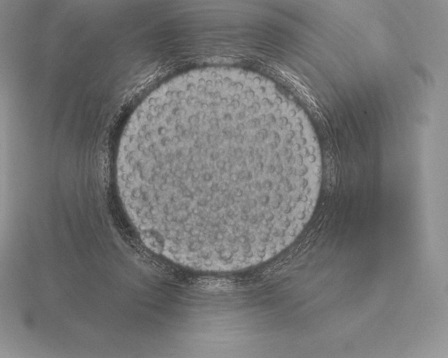 X0000115160354200912081413