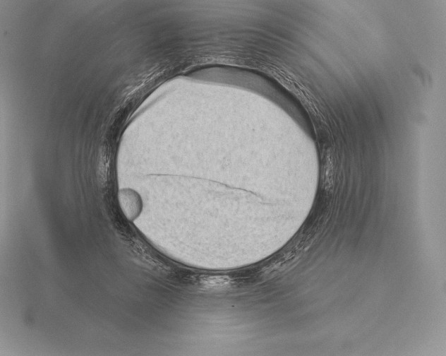 X0000115160355200912081413