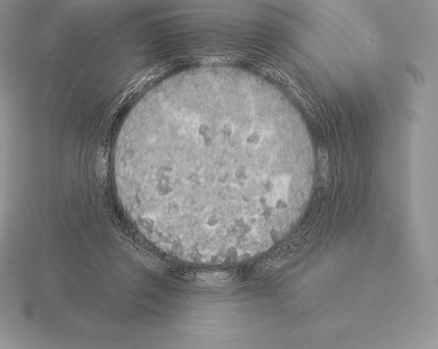 X0000115160357200912081413