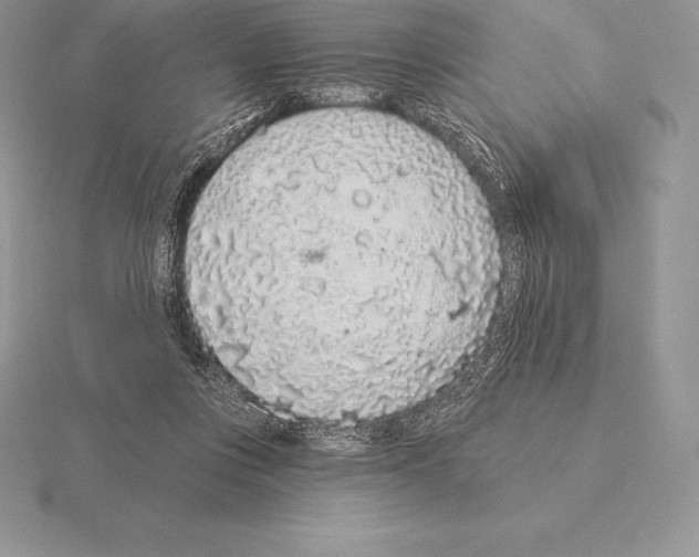 X0000115160359200912081413