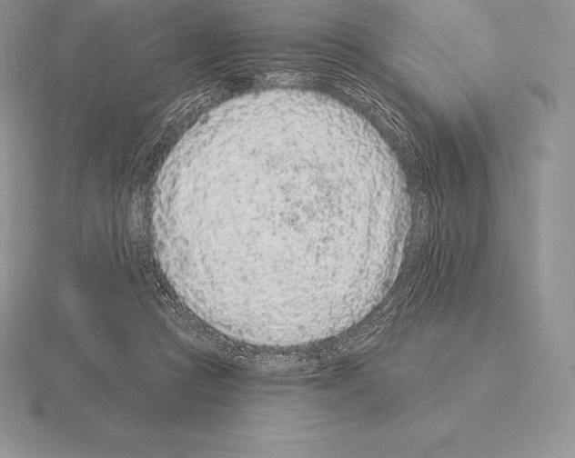 X0000115160361200912081413