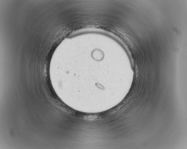 X0000115160362200912081413