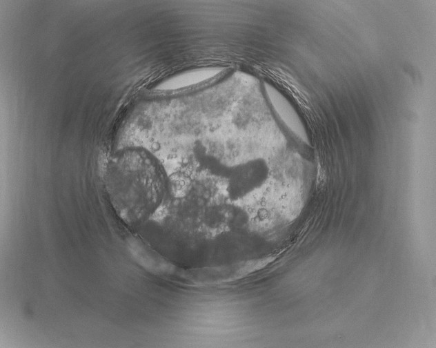 X0000115160365200912081413