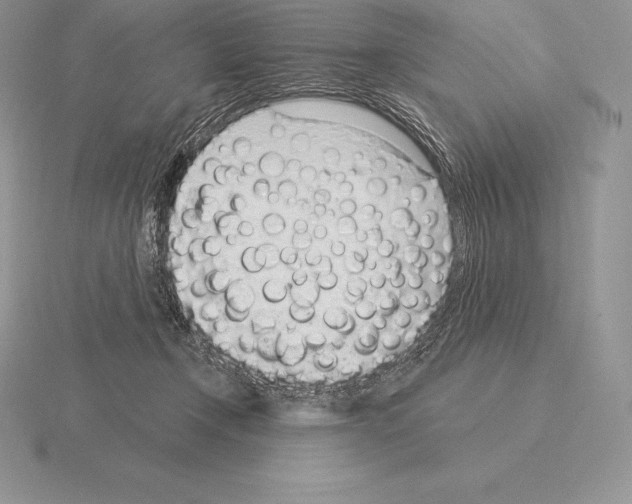 X0000115160366200912081413