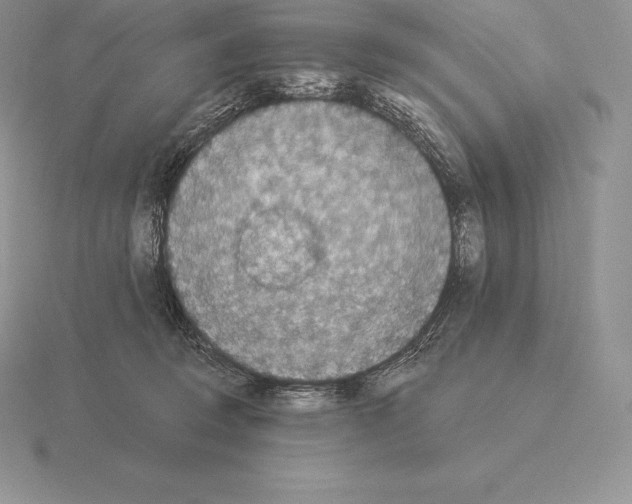 X0000115160370200912081413