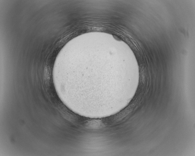 X0000115160374200912081413