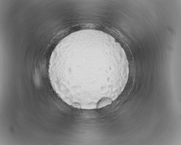 X0000115160377200912081413