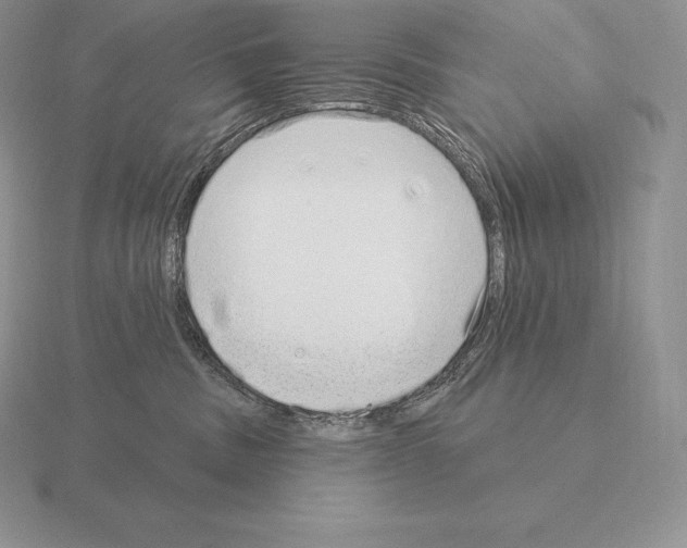 X0000115160379200912081413