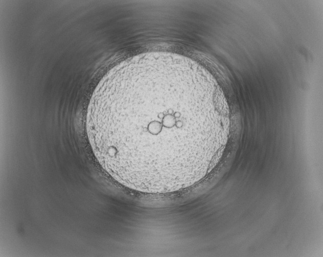 X0000115160381200912081413