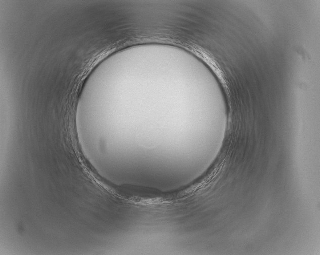 X0000115160385200912081413