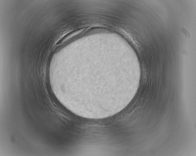 X0000115160386200912081412