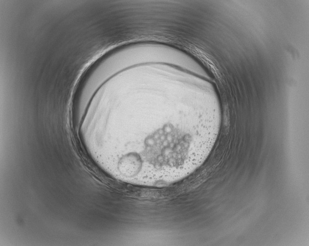 X0000115160388200912081412