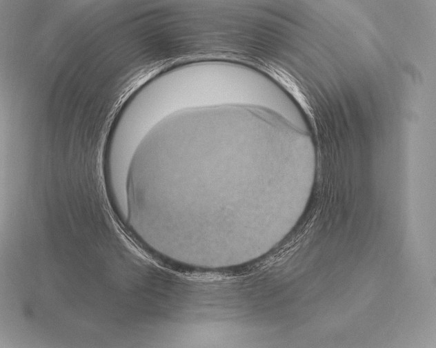 X0000115160389200912081412