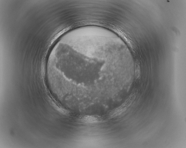 X0000115160390200912081412