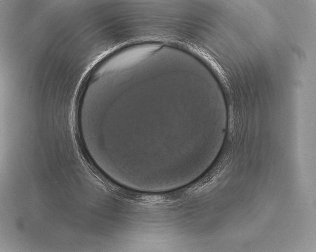 X0000115160391200912081412