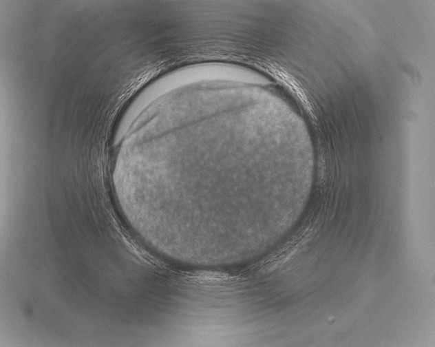 X0000115160393200912081412