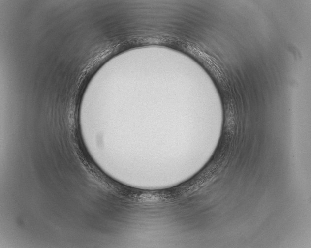 X0000115160394200912081412