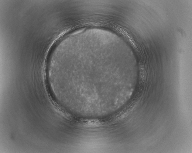 X0000115160395200912081412