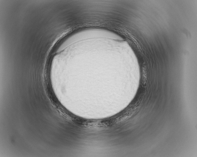 X0000115160396200912081412