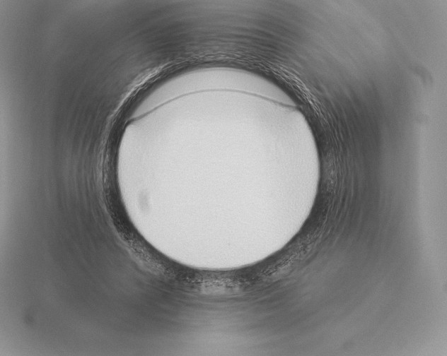 X0000115160400200912081412