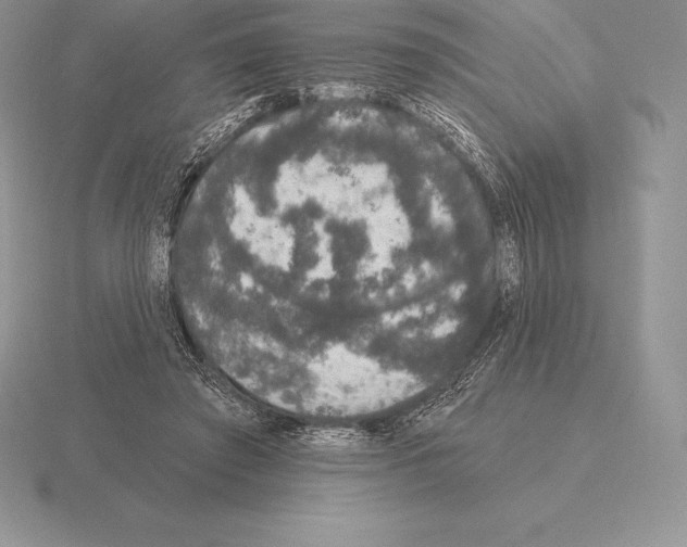 X0000115160401200912081412