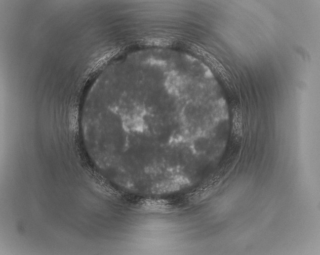 X0000115160403200912081412