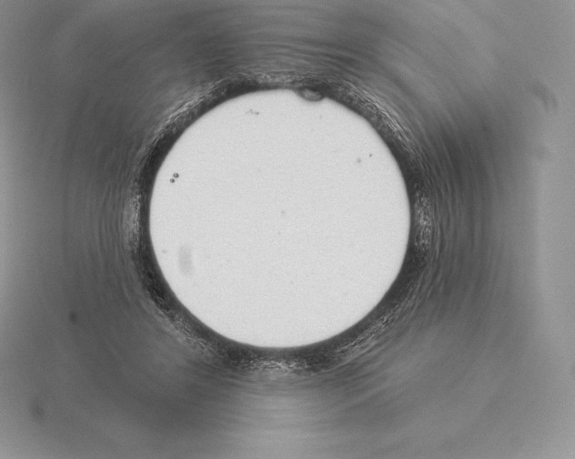 X0000115160404200912081412