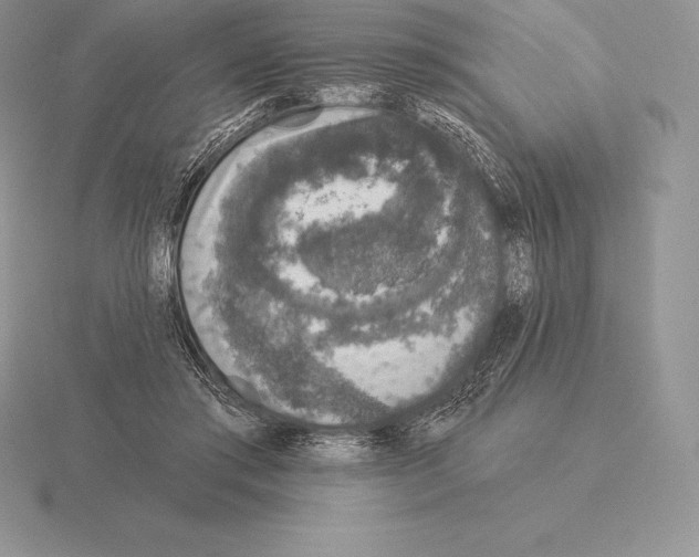 X0000115160405200912081412