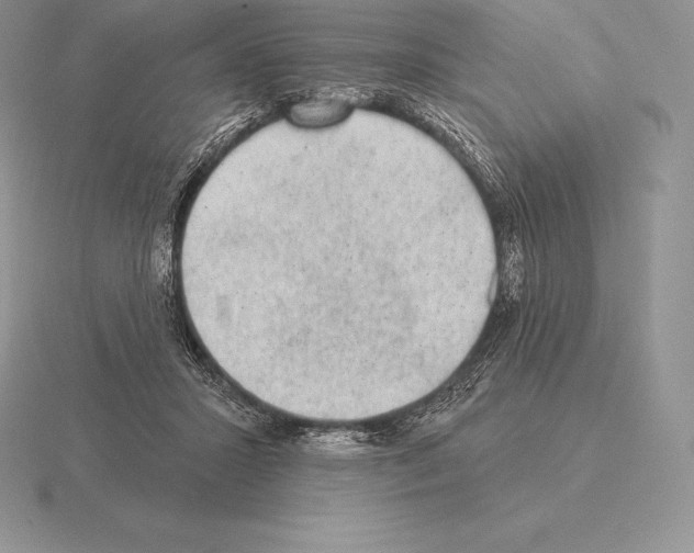 X0000115160407200912081412