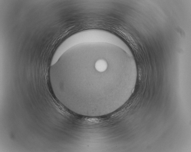 X0000115160409200912081412