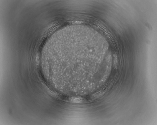 X0000115160410200912081412