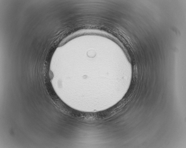 X0000115160412200912081412