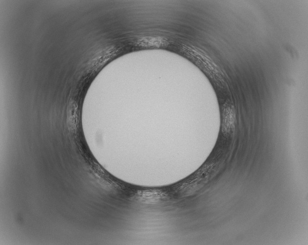 X0000115160414200912081412