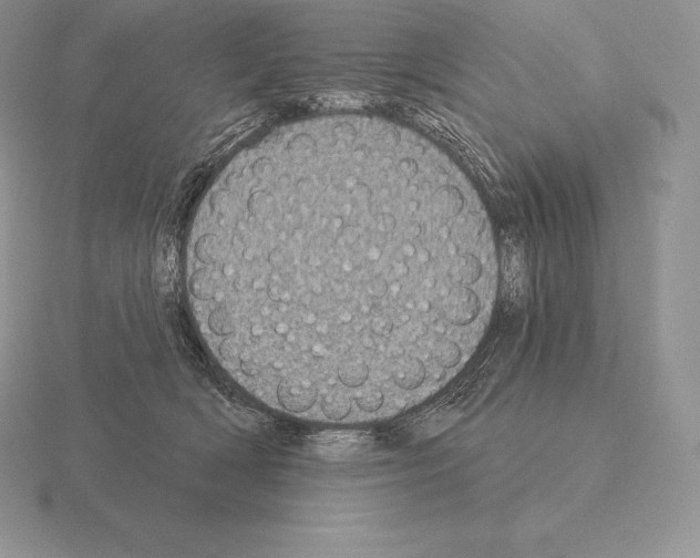 X0000115160418200912081412