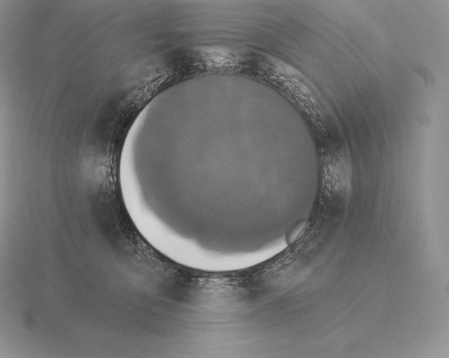 X0000115160419200912081412