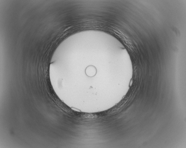 X0000115160421200912081412