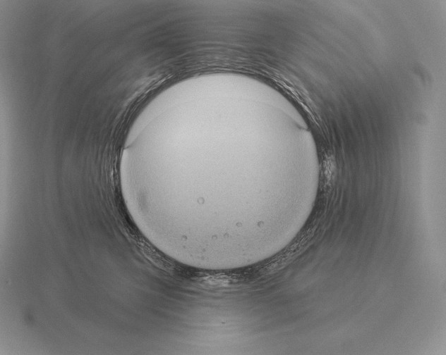 X0000115160423200912081412