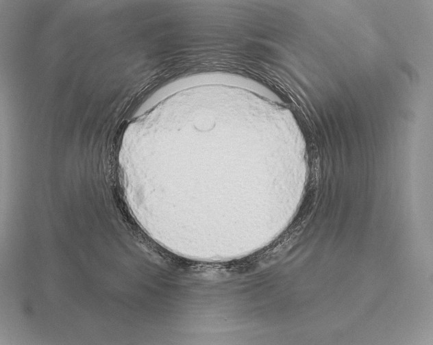 X0000115160424200912081412